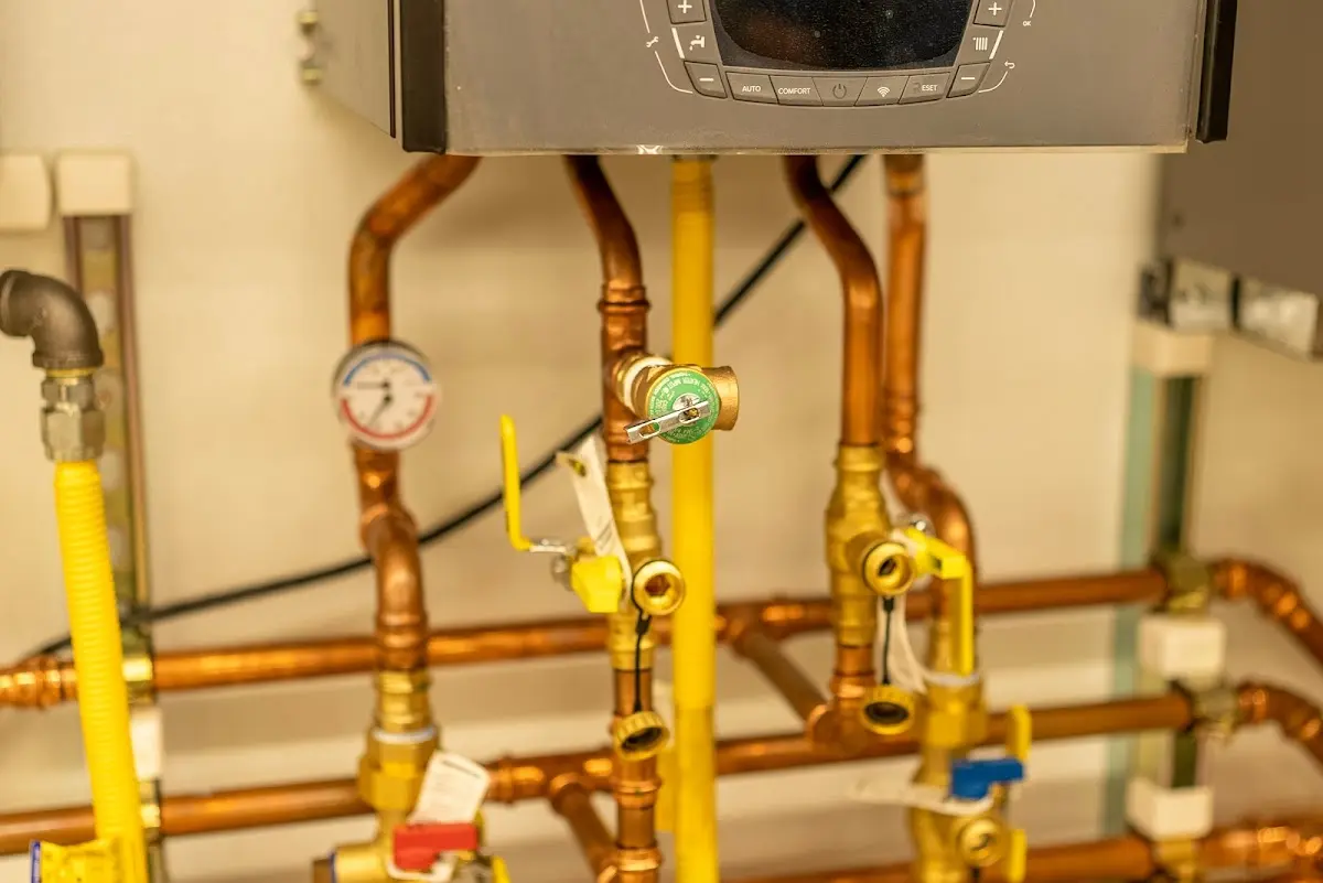 Licensed technician providing Emergency Plumbing for a homeowner in Mentone